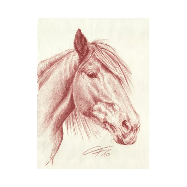 tierportrait pferd in roetel claudia frisch portraits 1