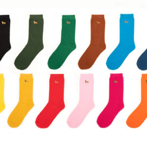 einfarbige Socken Krawattendackel Socken